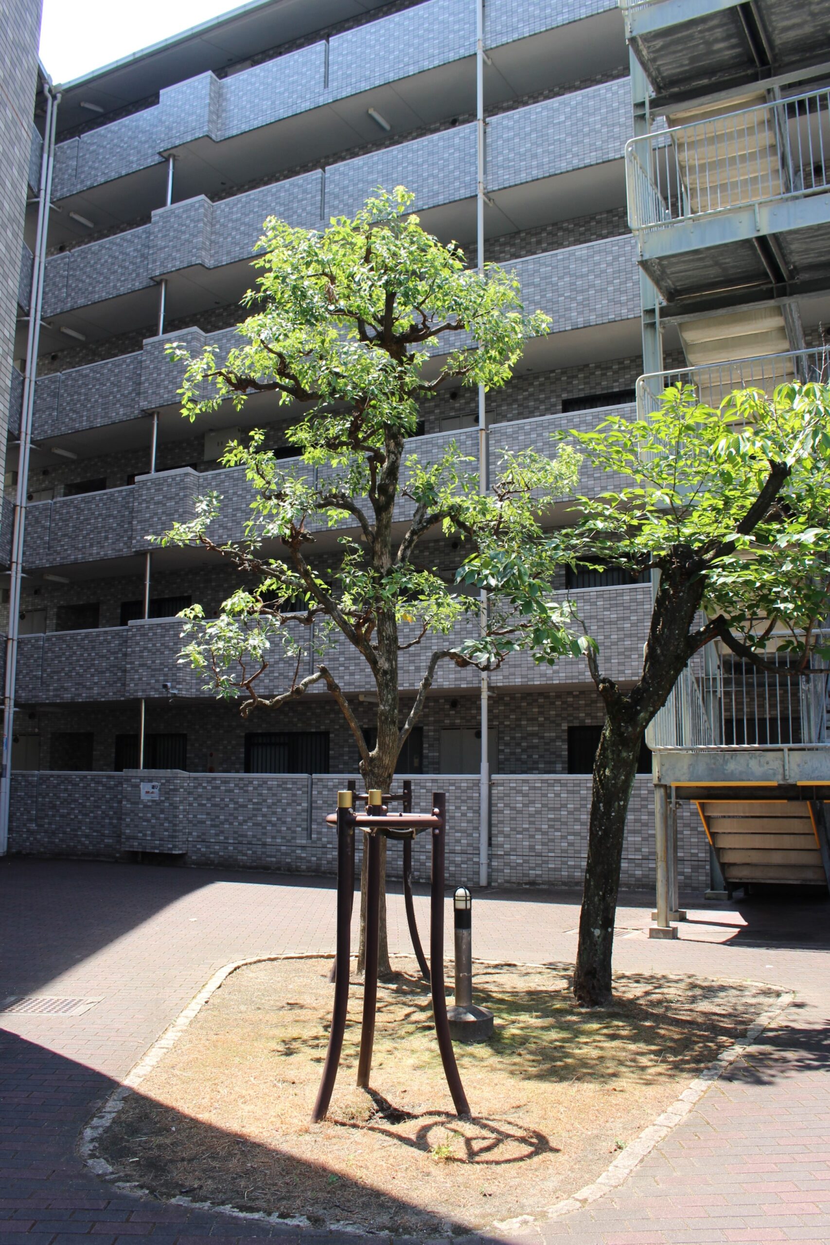 Kadoma