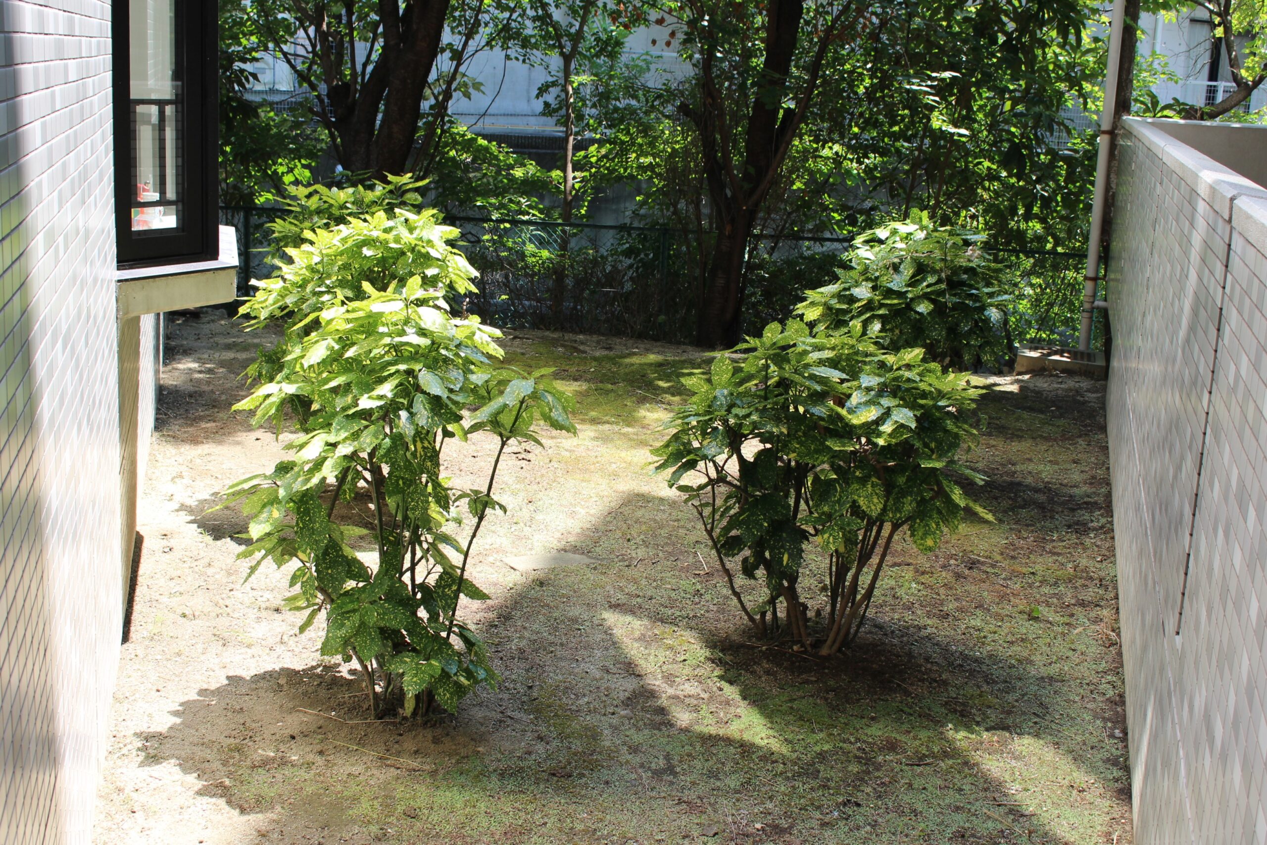Katano
