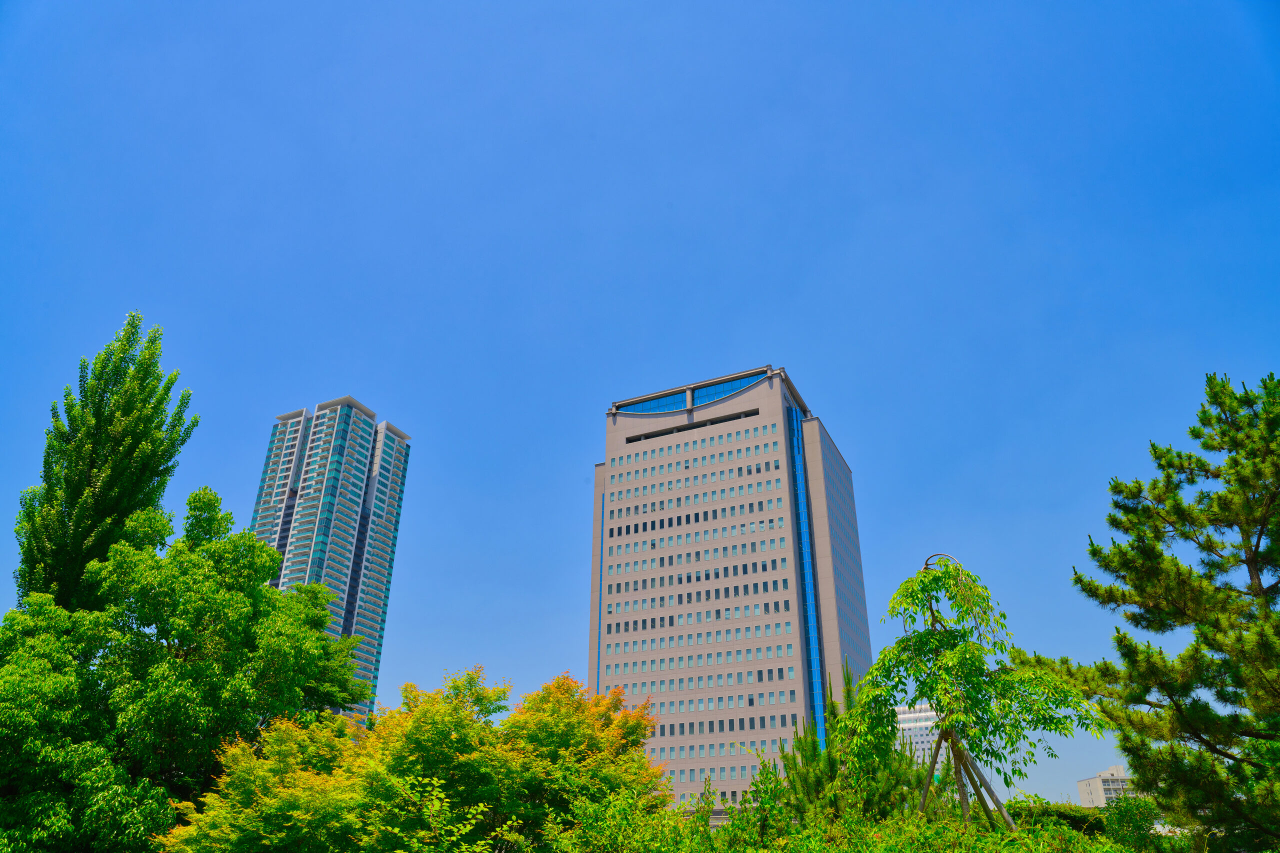 会社概要